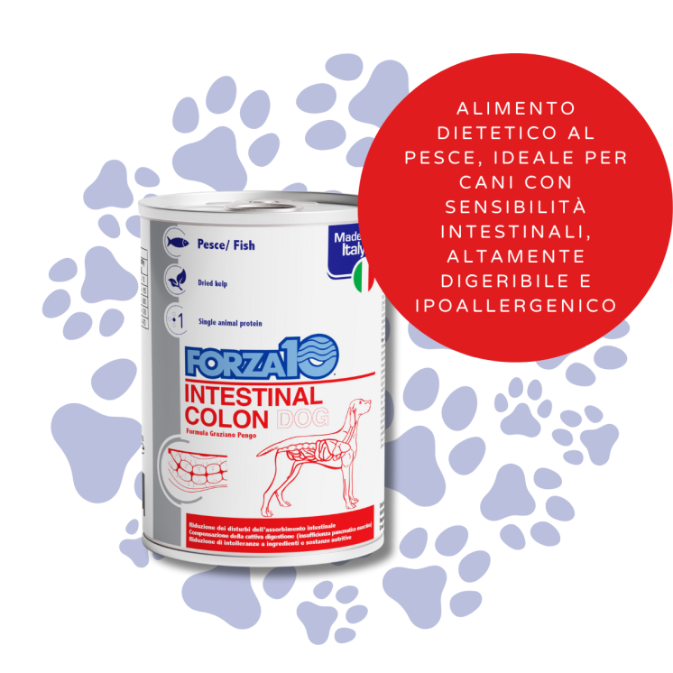 Forza 10 Intestinal Colon Cane Adulto Pesce 390g