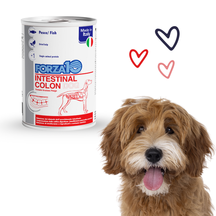 Forza 10 Intestinal Colon Cane Adulto Pesce 390g