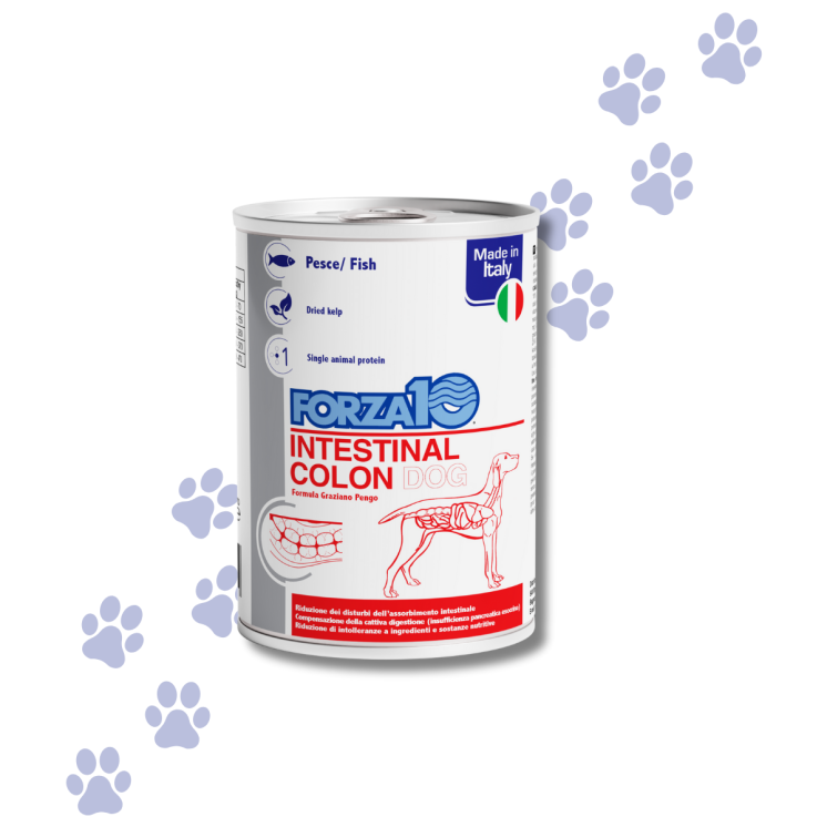 Forza 10 Intestinal Colon Cane Adulto Pesce 390g