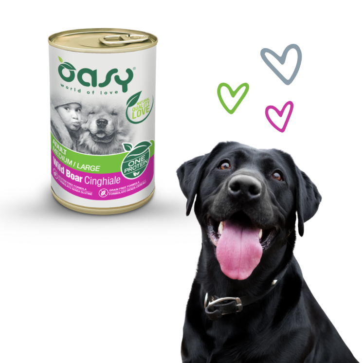 Oasy Cane Adulto Taglia Media/Grande Cinghiale 400g