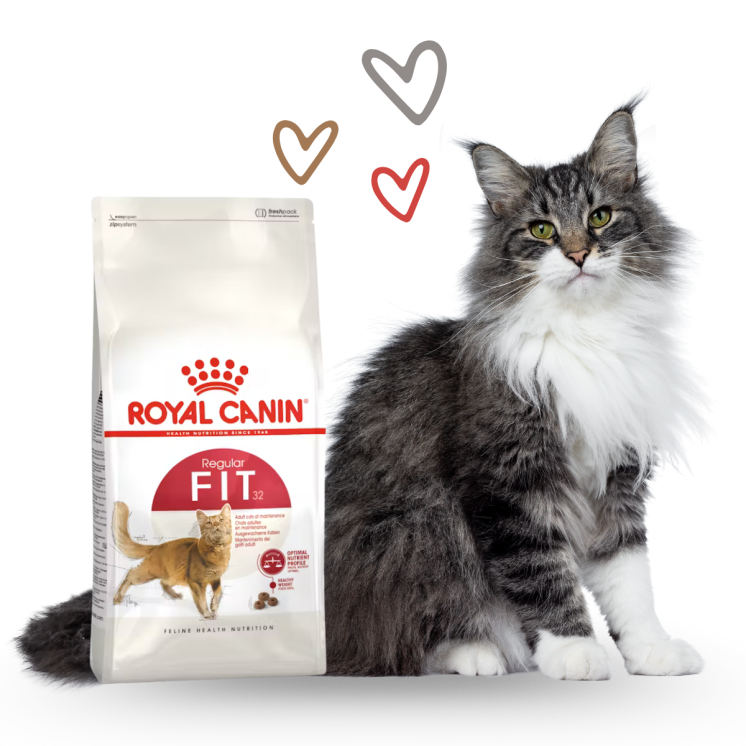 Royal Canin Fit Gatto Adulto
