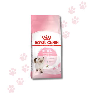 Royal Canin Kitten Gatto Cucciolo