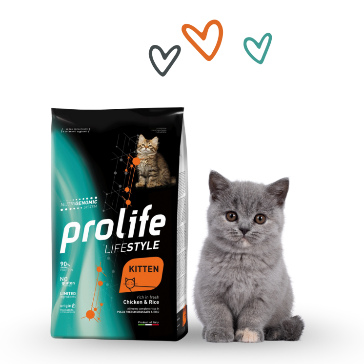 Prolife Life Style Gatto Cucciolo Pollo/Riso