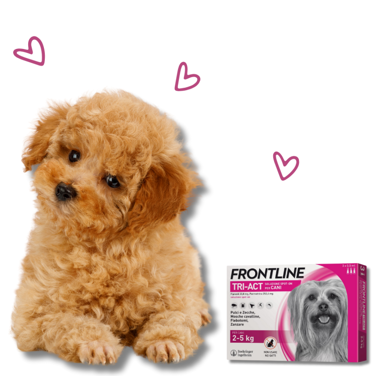 Frontline  TRI-ACT Cani 2-5 Kg – antiparassitario