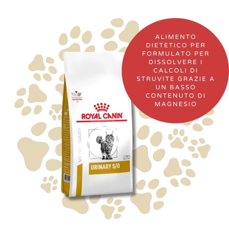 Royal Canin Urinary S/O Gatto Adulto