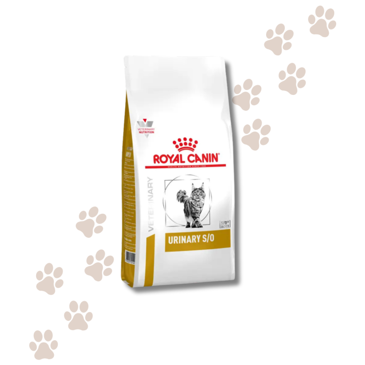 Royal Canin Urinary S/O Gatto Adulto