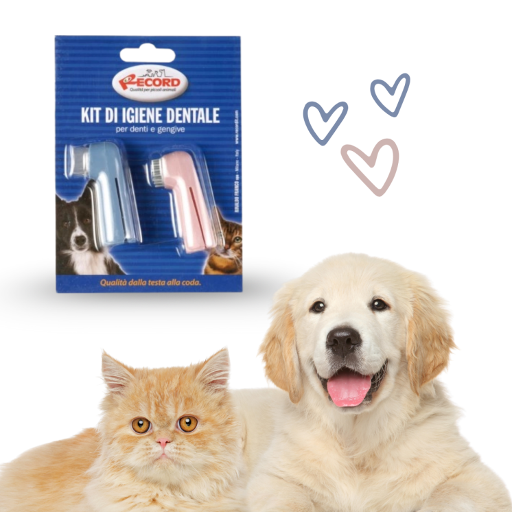 Record Kit 2 Spazzolini Cani e Gatti Denti/Gengive