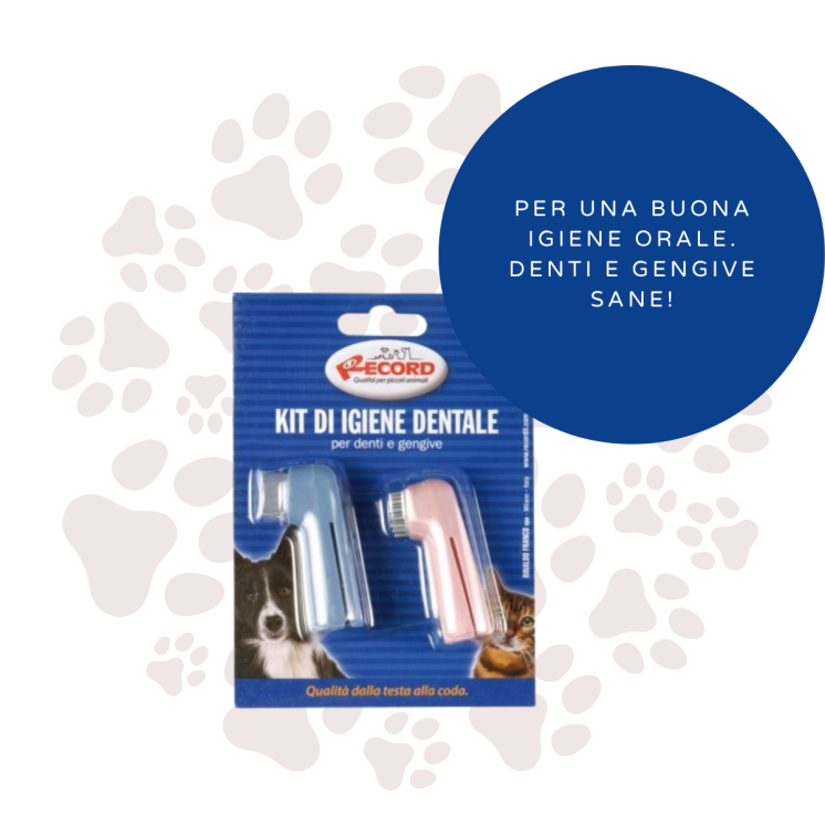 Record Kit 2 Spazzolini Cani e Gatti Denti/Gengive