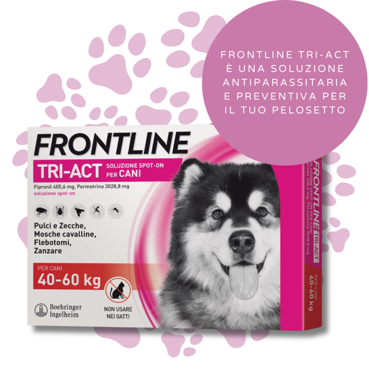 Frontline TRI-ACT Cani 40-60 Kg – antiparassitario