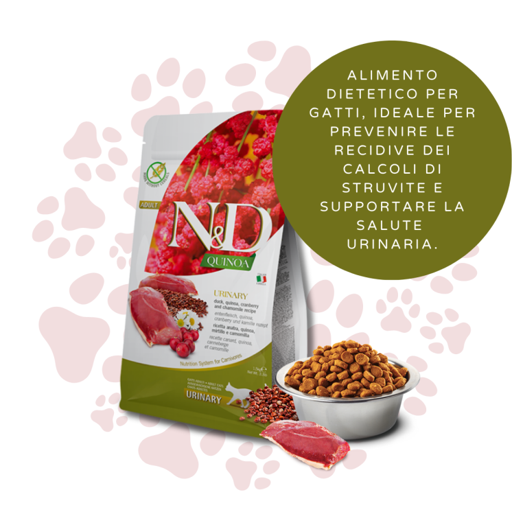 N&D Quinoa Urinary Gatto Anatra/Mirtilli