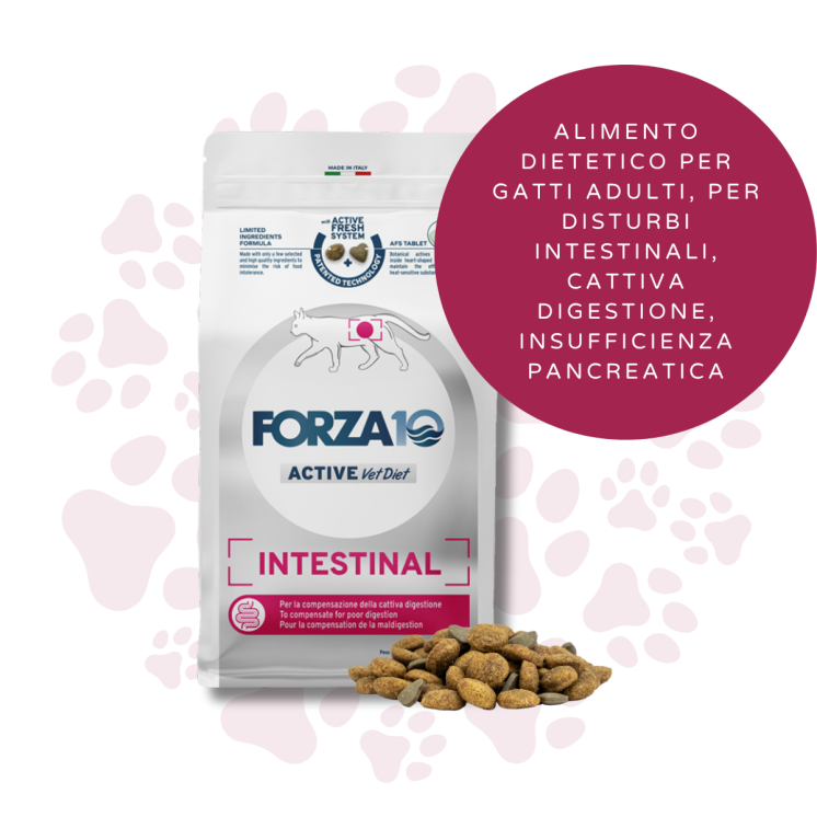 Forza 10 Intestinal Active Gatto Adulto