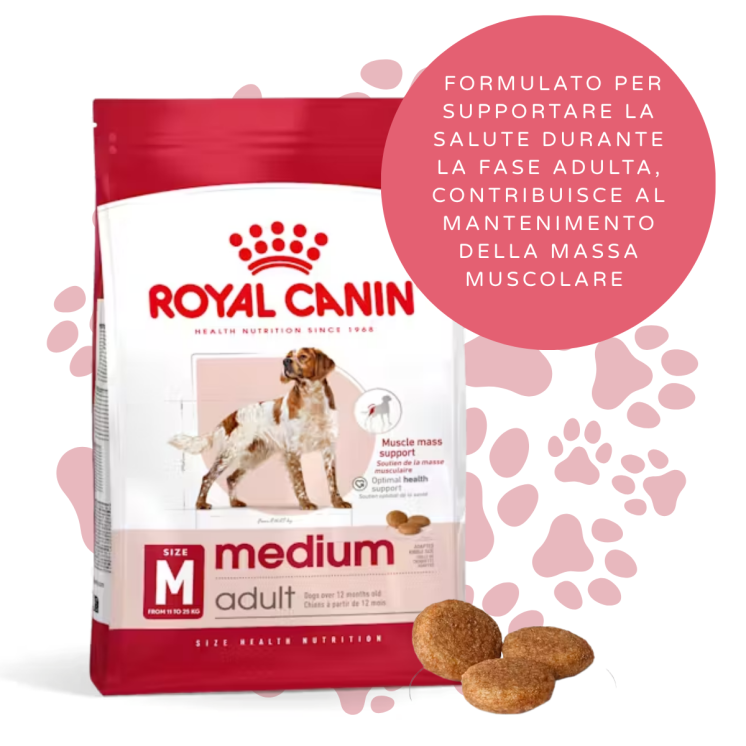 Royal Canin Crocchette Cane Adulto Taglia Media