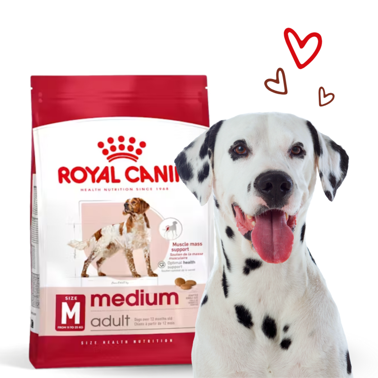 Royal Canin Crocchette Cane Adulto Taglia Media