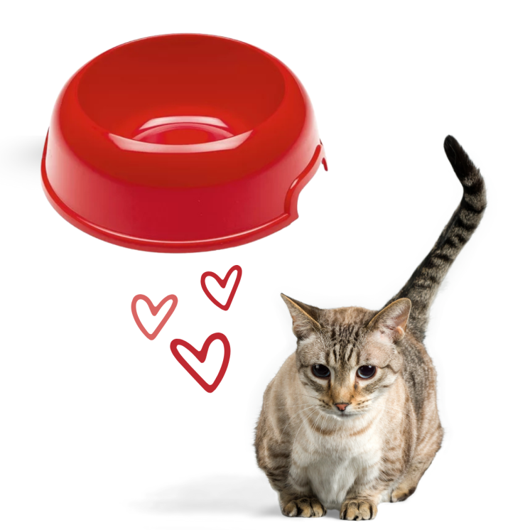 Ferplast Ciotola Party 2/4 Gatto