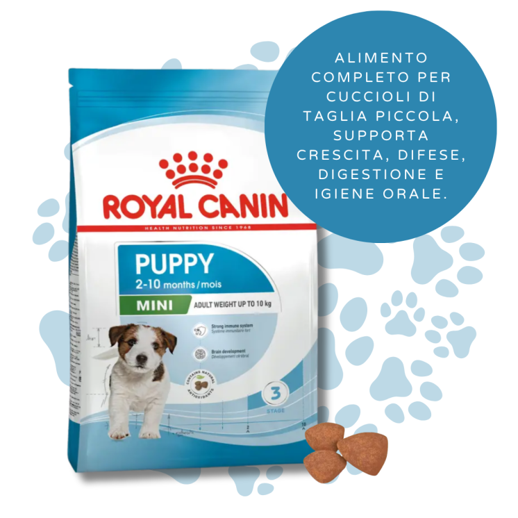 Royal Canin Crocchette Cane Puppy Taglia Mini