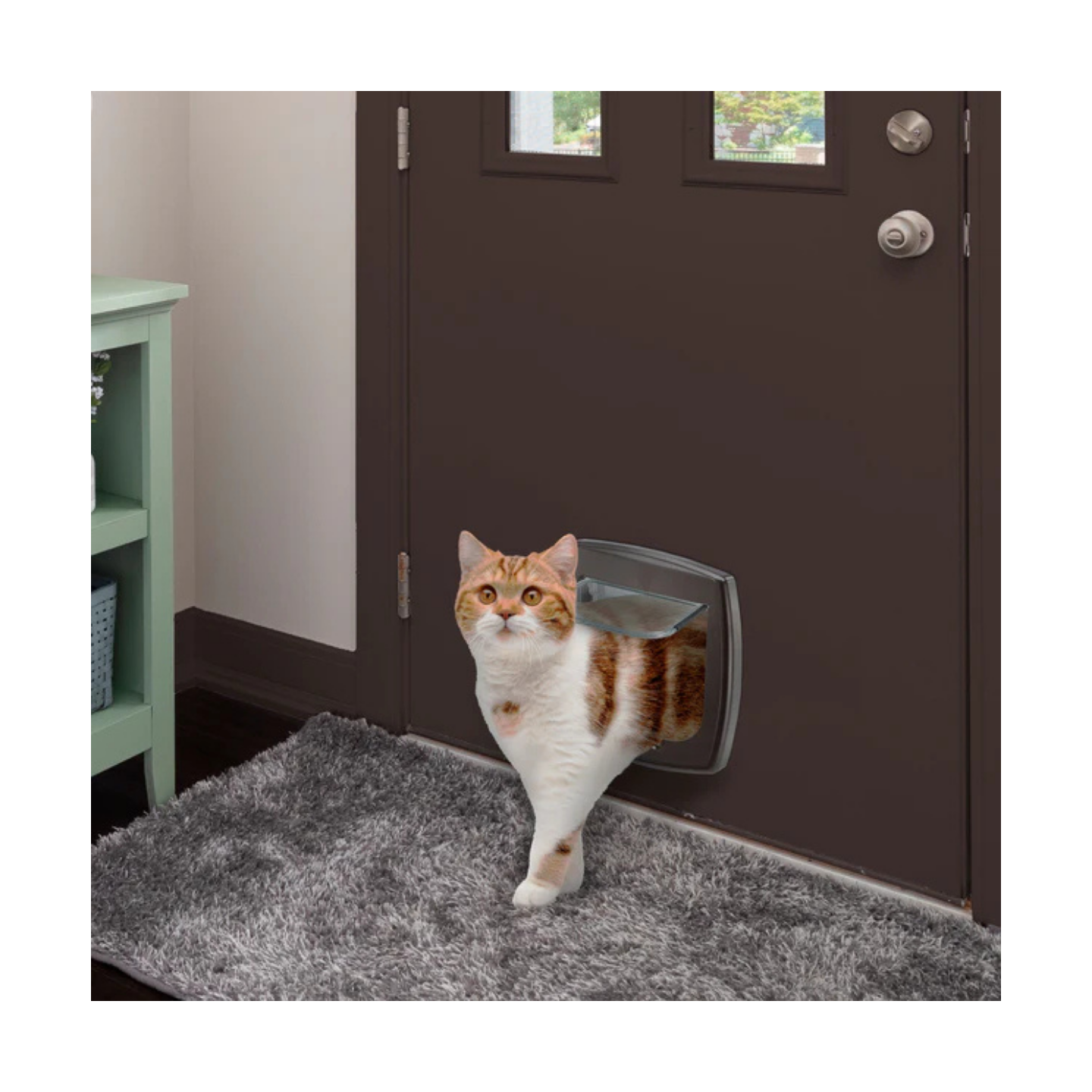 Ferplast Portina Swing 1 Bianco/Marrone Gatto