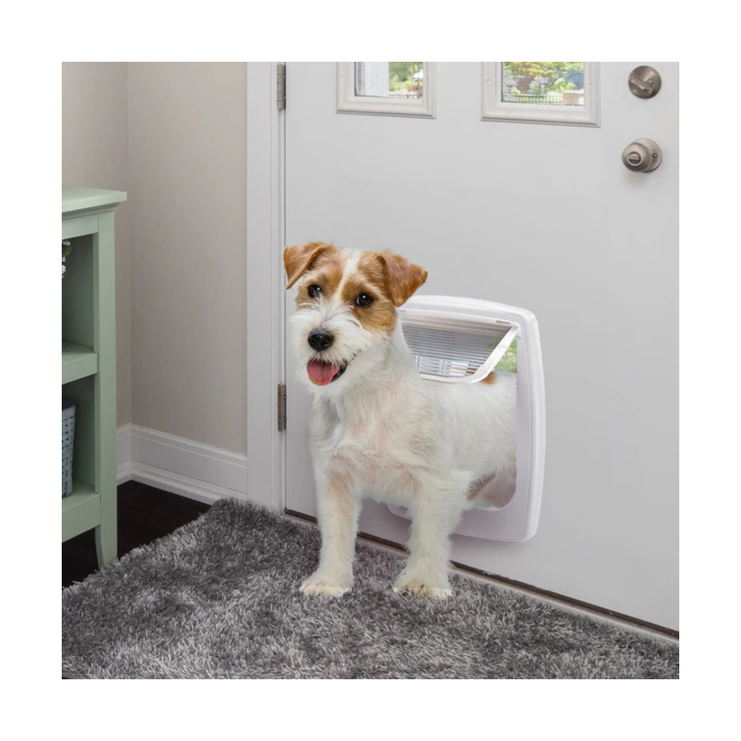 Ferplast Portina Swing 11 Bianco/Marrone Cane Taglia Media