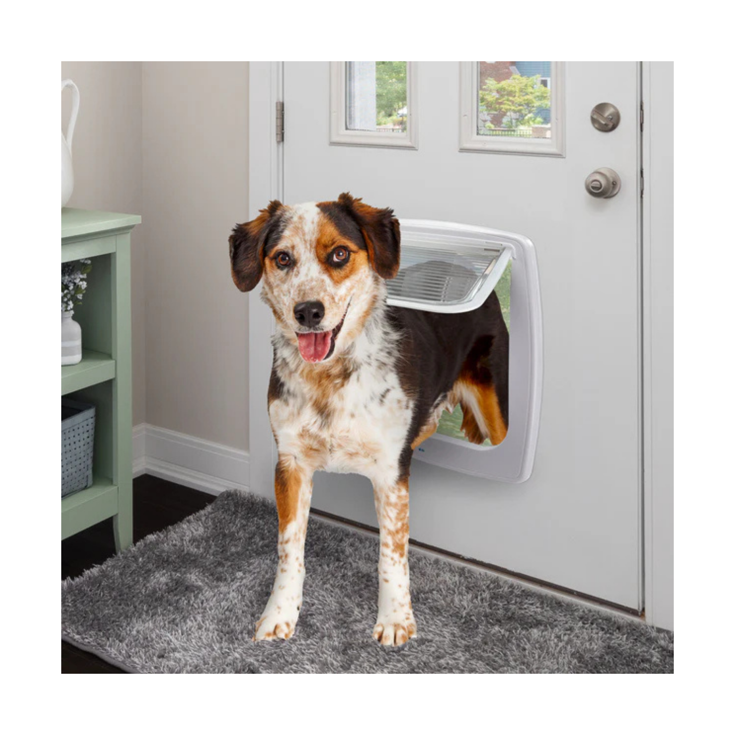 Ferplast Portina Swing 15 Bianco/Marrone Cane Taglia Media/Grande