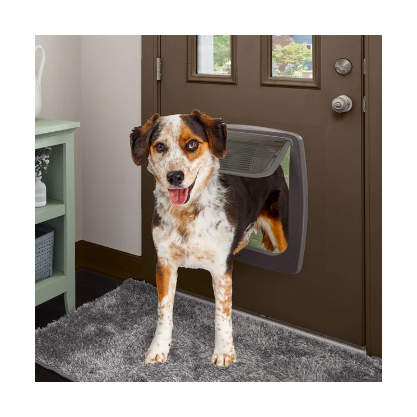 Ferplast Portina Swing 15 Bianco/Marrone Cane Taglia Media/Grande