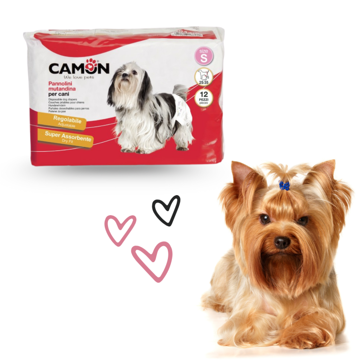 Camon Pannolini Mutandina Cane