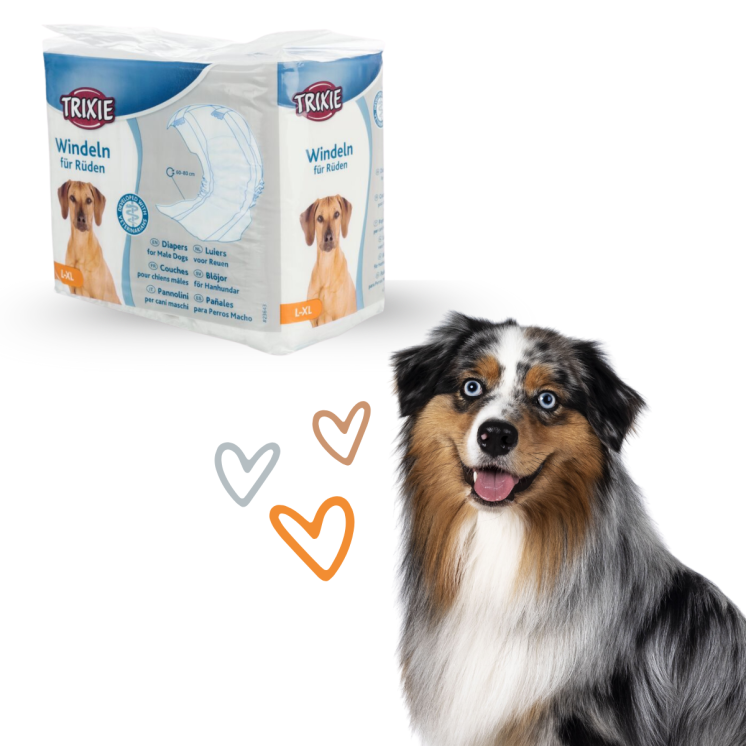 Trixie Pannolini Fascia Cane Maschio