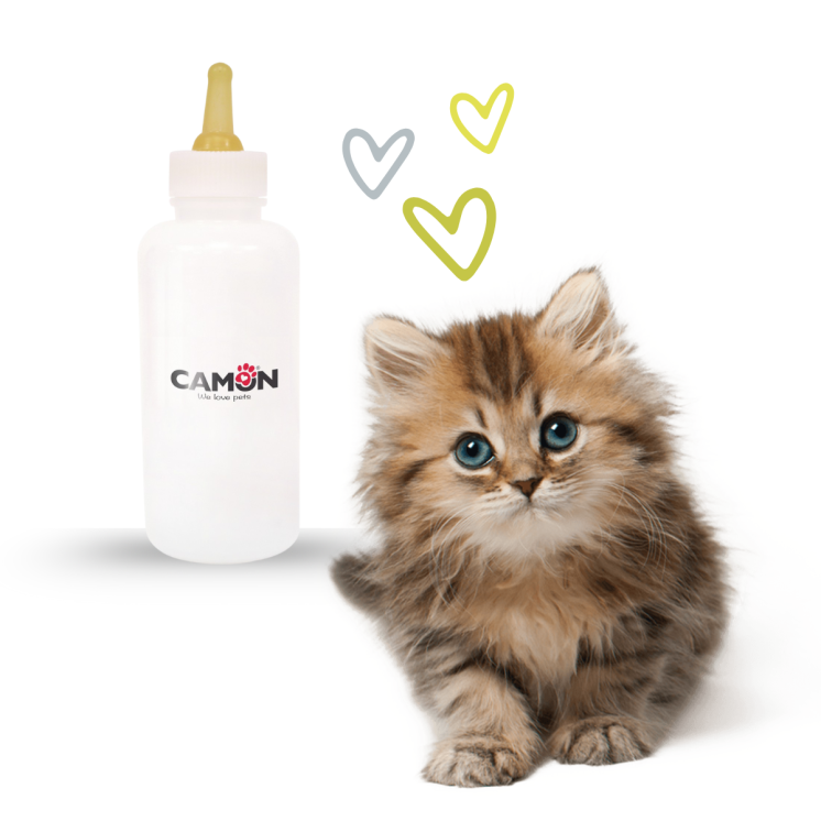 Camon Biberon Tettarella Pre-Forata Gatto Cucciolo