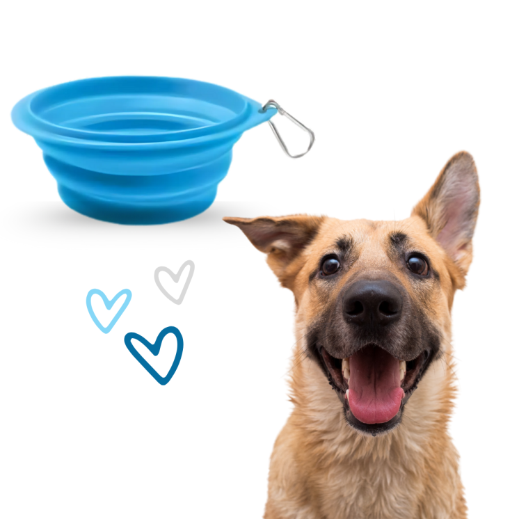 Record Ciotola Pieghevole con Moschettone Cane