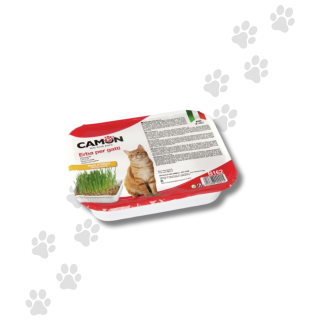 Camon Erba Gatta Con Semi Di Orzo