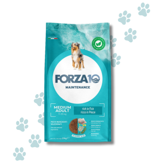 Forza 10 Maintenance Crocchette Cane Adulto Taglia Media Pesce
