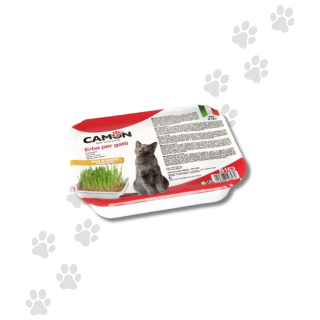 Camon Erba Gatta Con Semi Di Grano