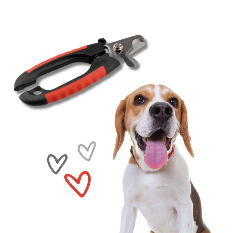 Ferplast Tagliaunghie Con Sistema di Sicurezza Cane