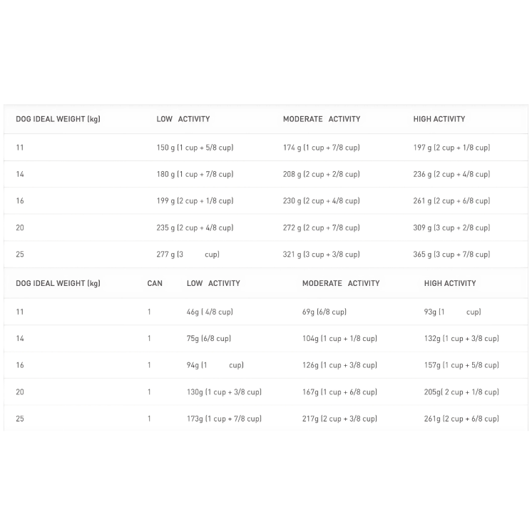 Royal Canin Crocchette Cane Adulto Taglia Media