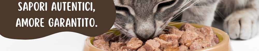 Cibo Umido per Gatti