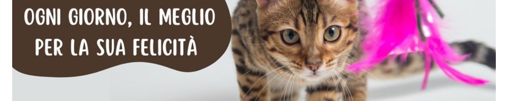 Accessori per Gatti