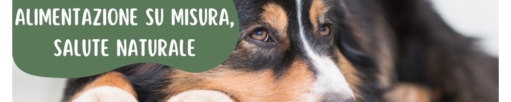 Mangimi Complementari e Integratori per Cani | Il Signor Pet