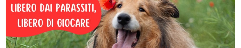 Antiparassitari per cani: collari, pipette spot on Frontline, Seresto