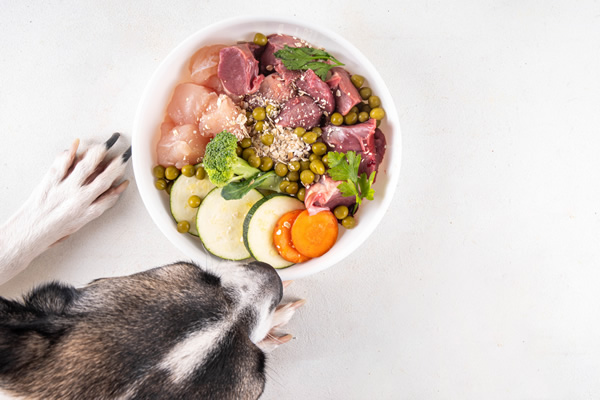 Crocchette dietetiche cani